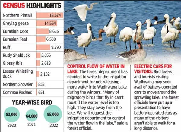 Wadhwana: Wadhwana Lake Hosted 95k Winged Guests This Winter ...