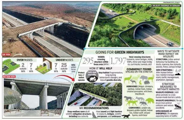 First in country: A flyover for animals on Mumbai-Nagpur highway | Nagpur News - Times of India First in country: A flyover for animals on Mumbai-Nagpur highway | Nagpur News - Times of India