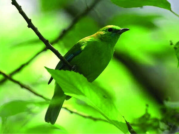 5March_Evoke_online-7