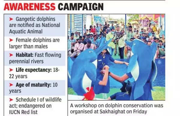 West Bengal: Pollution & rampant fishing choke, starve Gangetic dolphins