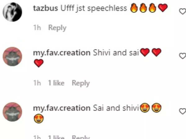 saishi c