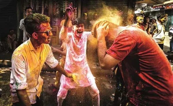 inset holi