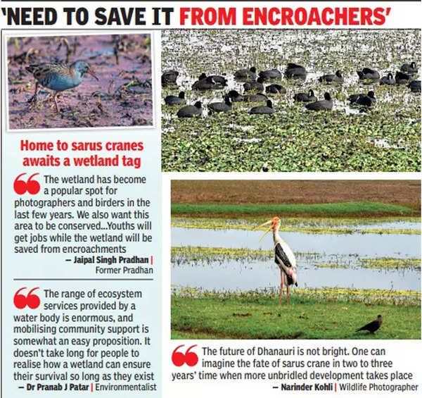 Dhanauri: A Wetland Waits For Conservation, So Do Youths In Villages ...