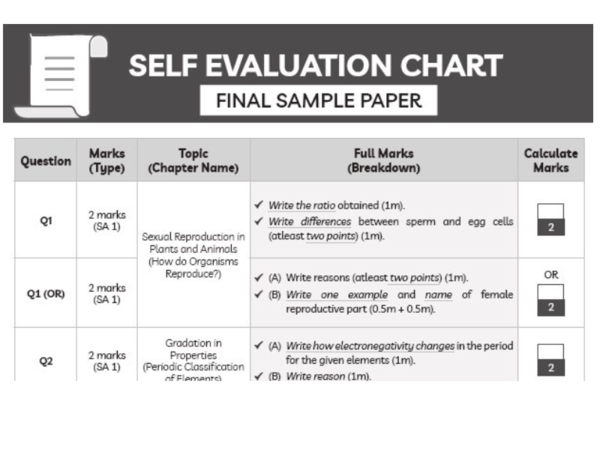 Special Final Revision Important Questions and Topic-wise Subjective ...