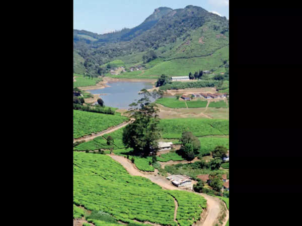 Valparai and Koli Hills, among other, are being billed as next big thing