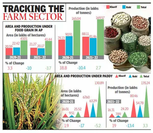 sown-area-dipped-last-fiscal-but-food-grain-yield-logs-rise