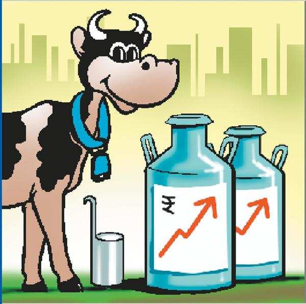 25% increase in turnover for dairy major Milma