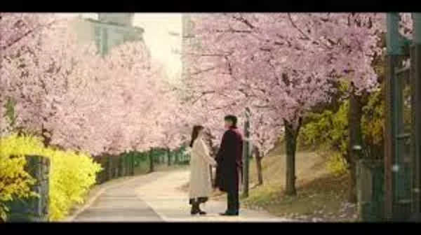 In cherry blossoms dating Manchester site Cherry Blossoms