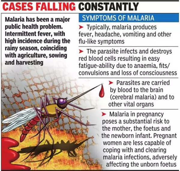 World Malaria Day: Malaria Claims Only One Life In Last Five Years In 