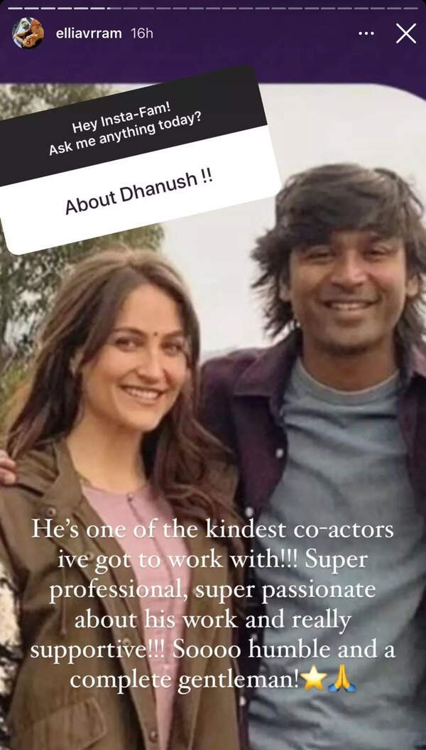 Elli AvaRam's Instagram story