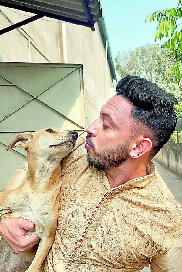 Heatwave: Kolkata celebs urge citizens to spare a thought for strays -  Times of India