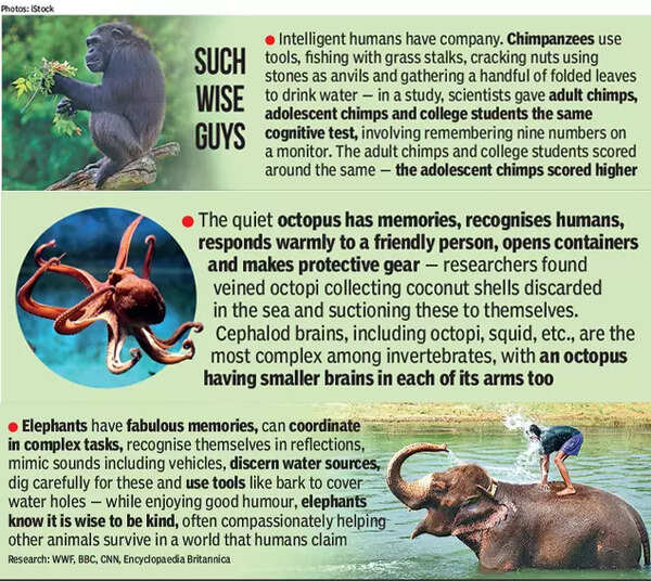 3 (3)