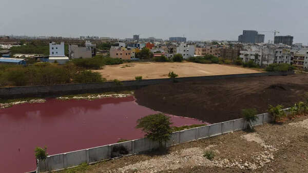 Lake Next To Landfill In Perungudi Turns Bright Pink In Colour ...