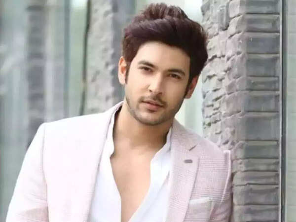 Shivin Narang