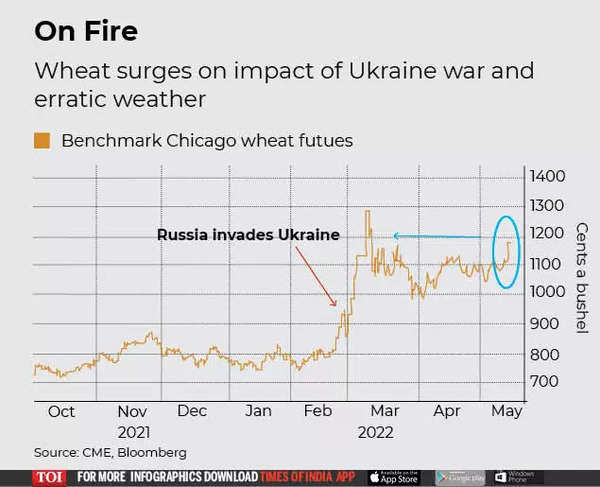 Bloomberg (1)