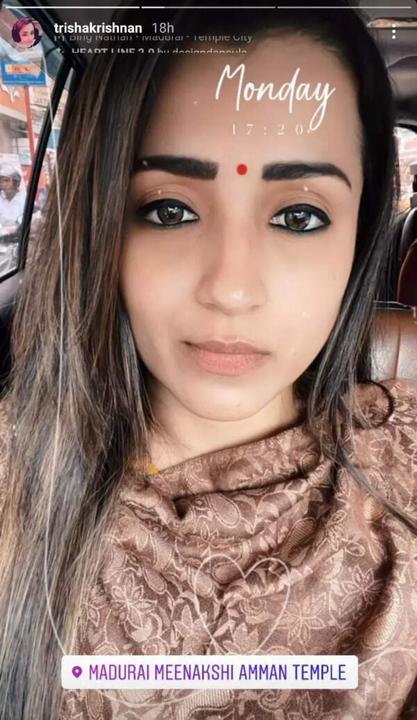 Trisha's Instagram post!