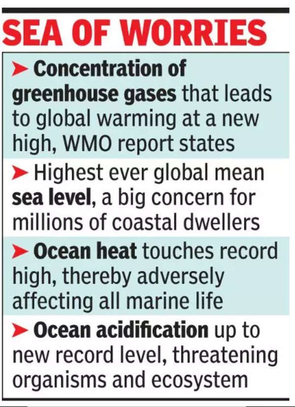 4 indicadores clave del cambio climático alcanzaron su punto máximo el año pasado: ONU |  Noticias de la India