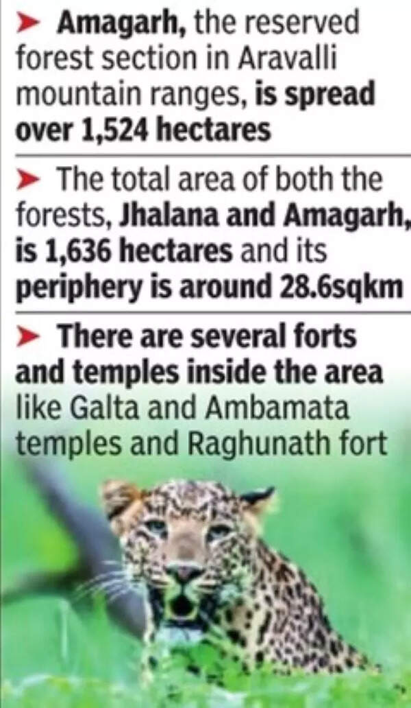 Jaipur India’s first city with 2 leopard safaris,