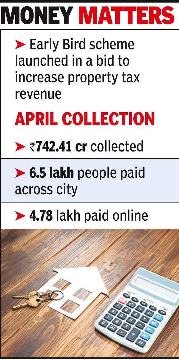 City’s Early Bird taxpayers face online glitches