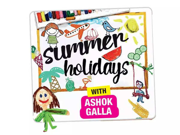 pg3_ashok_galla_logo