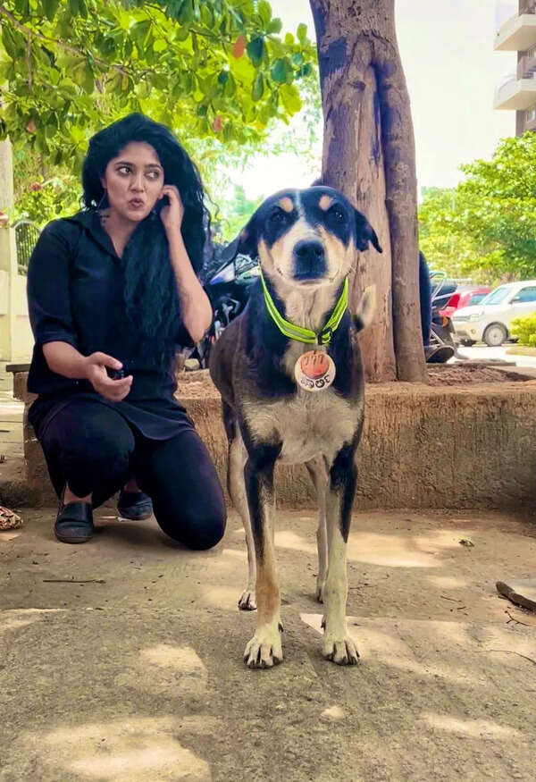 Samyukta