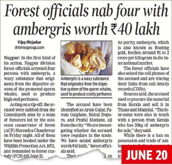 Ambergris One More Held In Ambergris Seizure Case Times of India