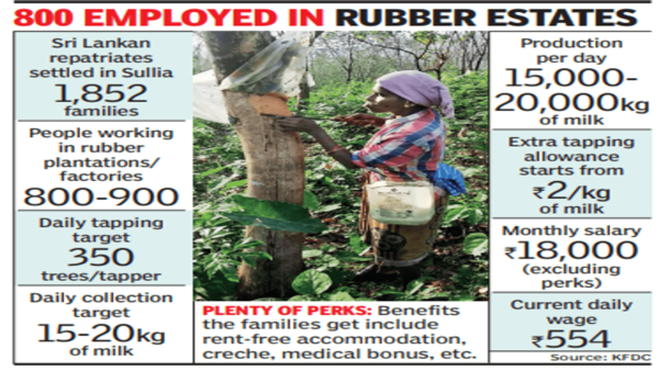 Forest Corpn To Discontinuefacilities For Sl Repatriates | Bengaluru News – Times of India