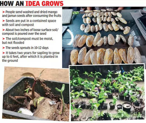 Delhi Group sows seeds of seasonal plants donated by their green