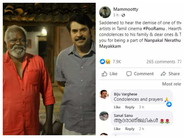 Mammootty
