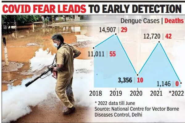 20% jump in dengue cases this year, but no confirmed fatality in ...