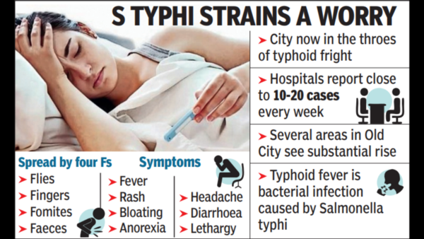 Can Dengue And Typhoid Occur Together