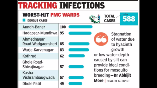 57% of all dengue cases in Pune from just eight wards | Pune News – Times of India
