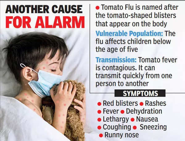 what is tomato flu