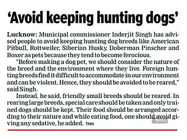 Citing a recent case of a pet pitbull attack , the Lucknow Nagar Nigam was quick to issue an advisory (left) which stated that ‘people should avoid keeping hunting dog breeds like American pitbull or rottweiler as pets because they tend to become ferocious’