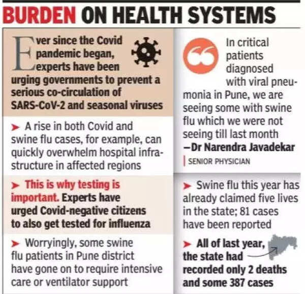 Pune: Swine flu surges, 2nd only to Covid in positivity rate | Pune ...