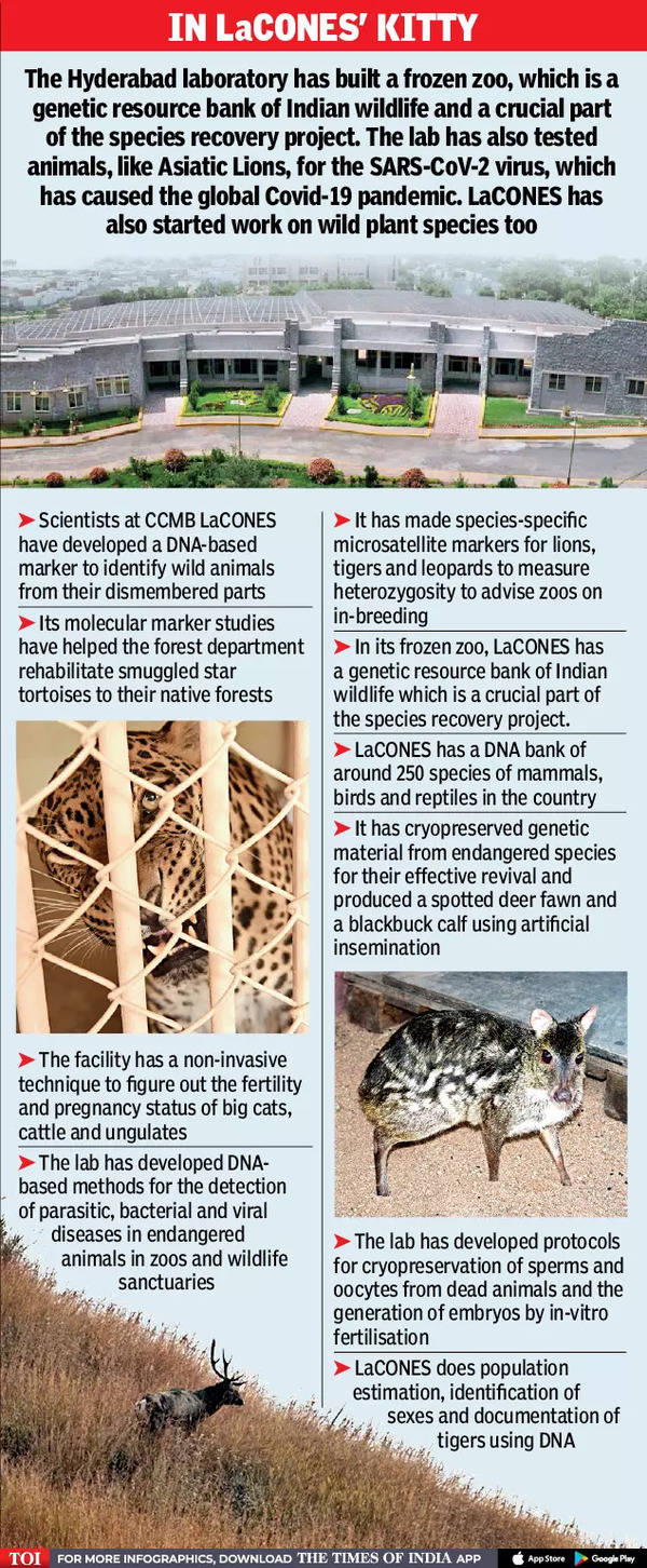 A lab works to stop animal extinction - Times of India