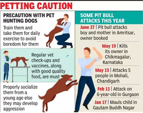 Pet dog attacks woman, infant in Gurugram society, owner booked