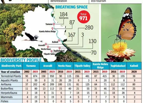 दिल्ली के फेफड़े ठीक करने वाले हरे डॉक्टर | दिल्ली समाचार dsfjkdsfj