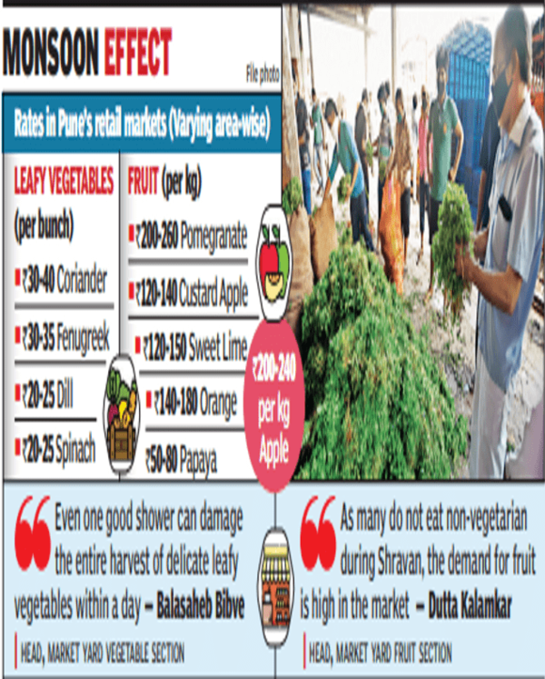 Pune: Leafies, fruits costlier by 20-30% | Pune News – Times of India