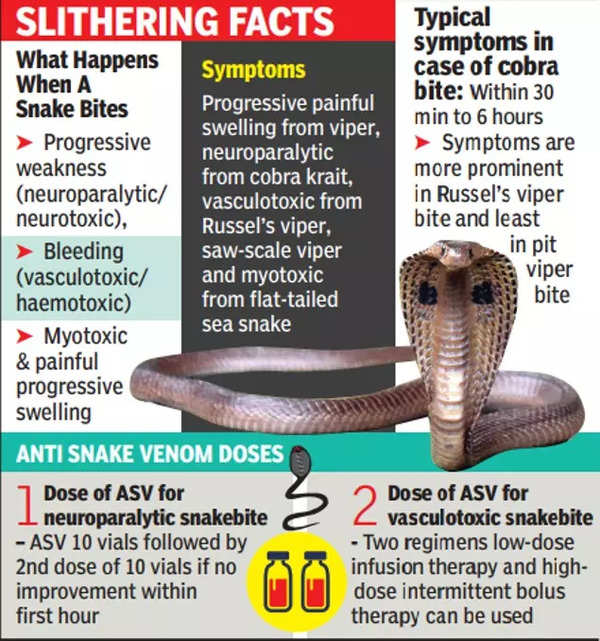 Snake bites are on the rise in US