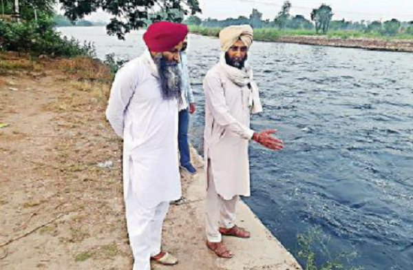 GREEN WARRIORS: The Naroya Punjab Manch conducts afforestation drives and ensures that compensatory plantation mandated for development projects is legally enforced. The move to increase green cover helps improve the water table too Capture