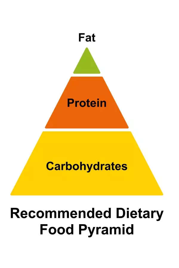 What really is the Gym Diet and have you got yours right? - Times of India