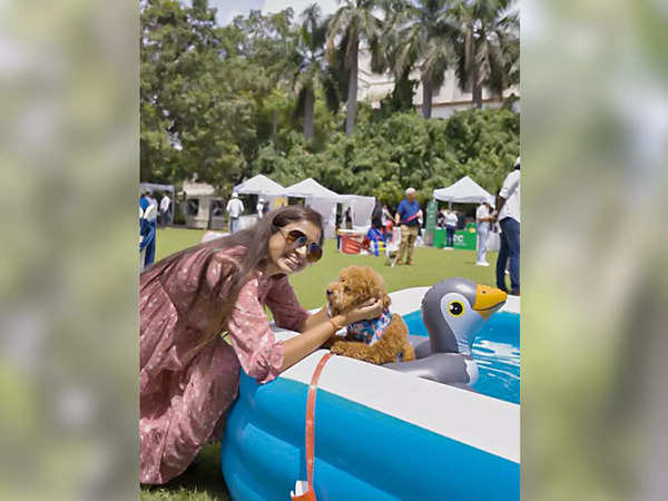 People for Animals & Friendicoes organise a pool party for indie dogs |  Events Movie News - Times of India