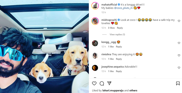 Mahat - pets