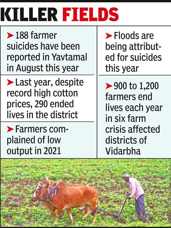 Cotton Yavatmal Sees 43 Farmer Suicides In Aug Times Of India 0099