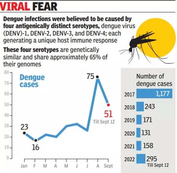 1 Dengue Strain Prevalent, Experts Caution Against Mosquito Breeding ...