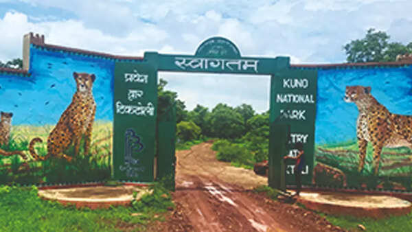 Kuno National Park enclosure