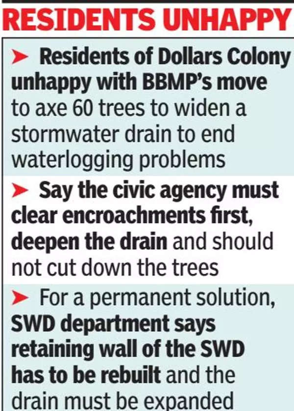 Bruhat Bengaluru Mahanagara Palike to axe 60 trees to widen stormwater ...