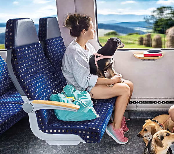 Orders train travel with dog