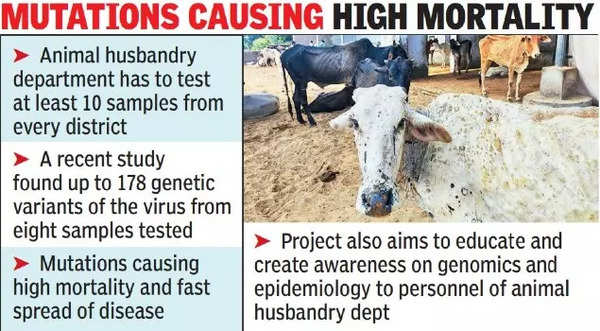 Genome surveillance for lumpy skin disease in all Rajasthan districts |  Jaipur News - Times of India